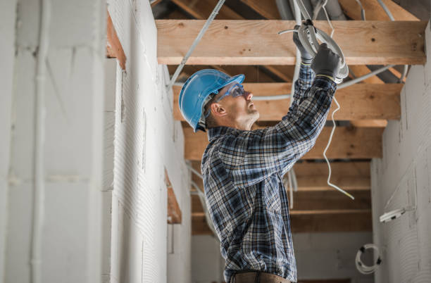 Best Electrical System Inspection  in Shawneetown, IL